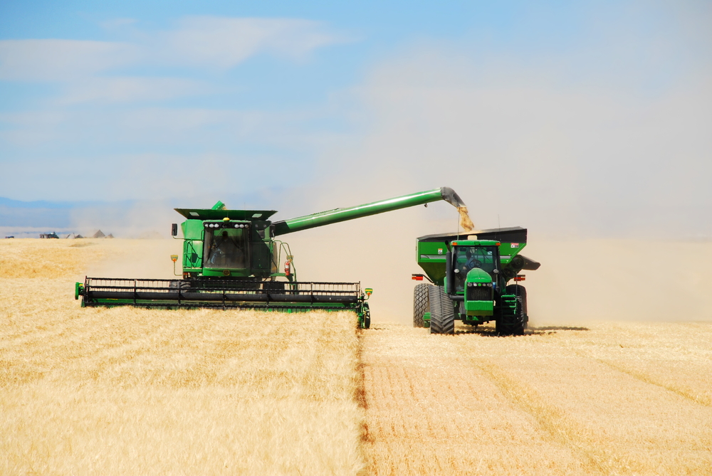 Grain being unloaded while harvesting