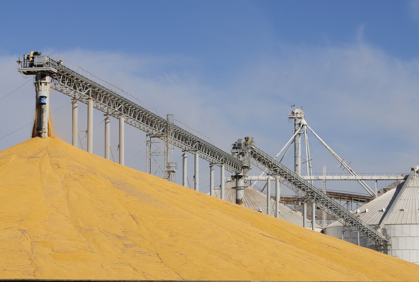 Grain elevator with mound of grain