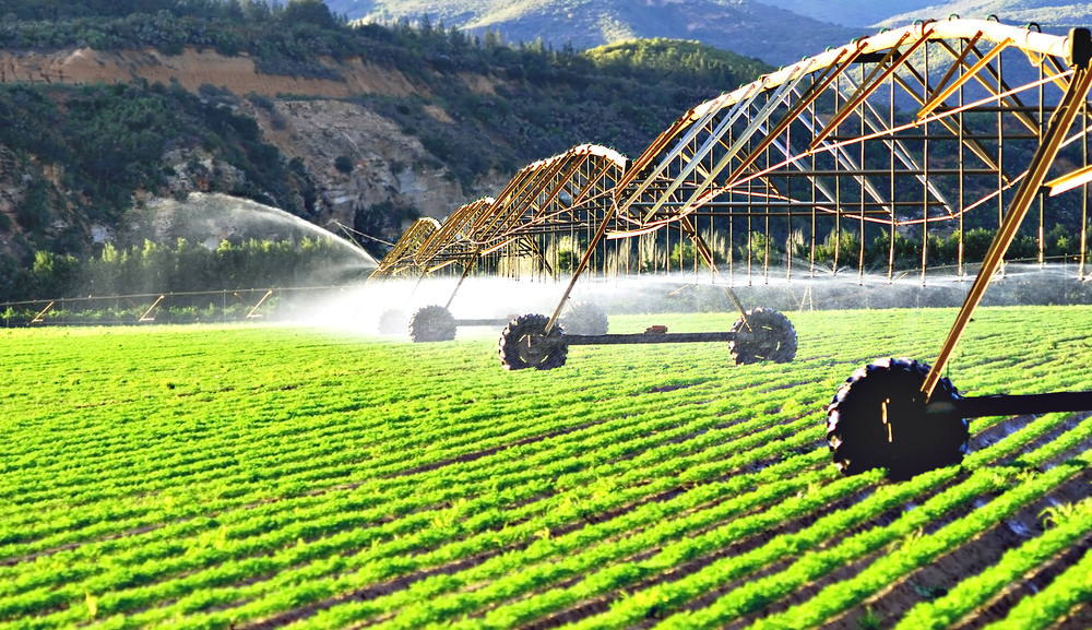 Irrigation