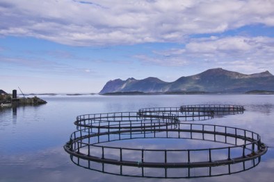 Aquaculture salmon farm in Norway