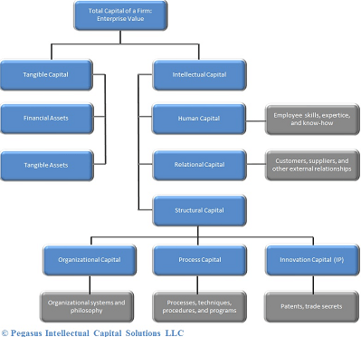  Intellectual Capital Audit Outline of Enterprise Value 