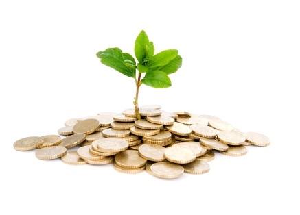 Plant growing in coins: Metaphor for startup financing