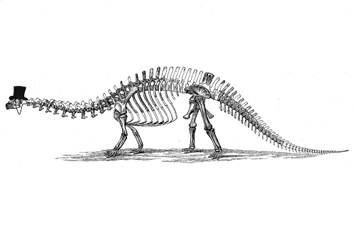 dinosaur skeleton with monacle